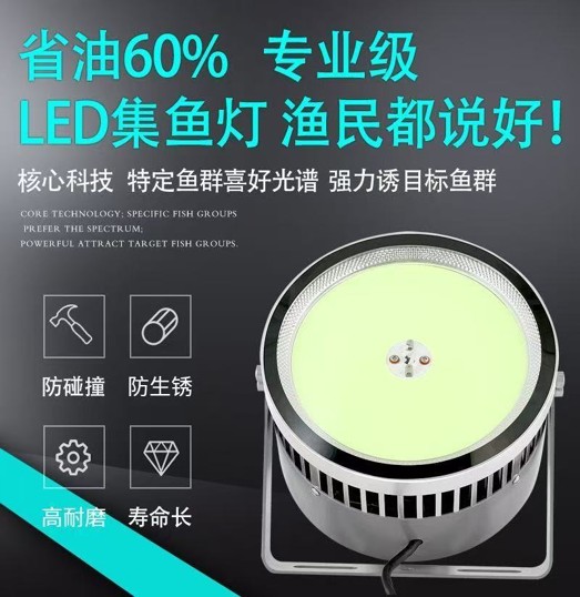 云浮集鱼灯